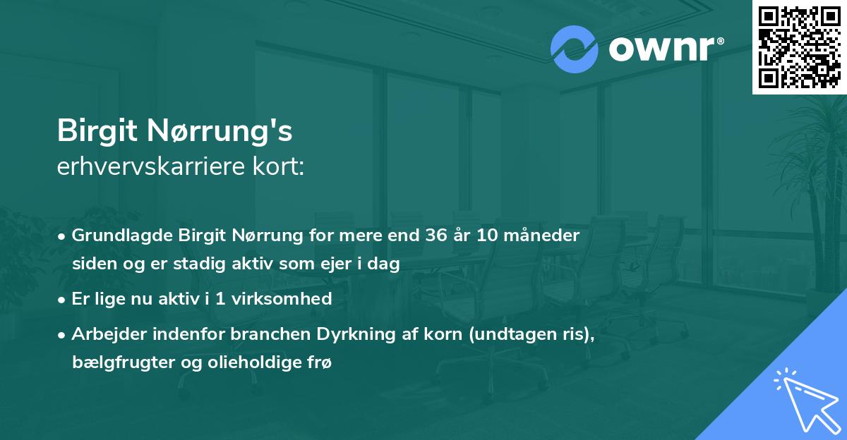 Birgit Nørrung's erhvervskarriere kort