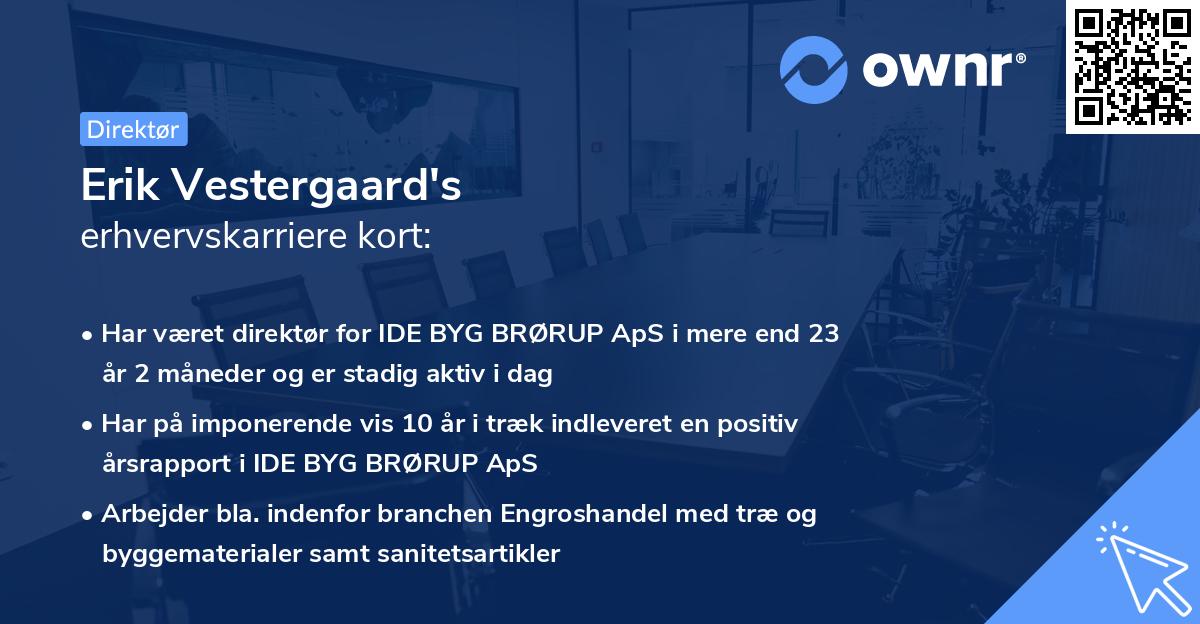 Erik Vestergaard's erhvervskarriere kort
