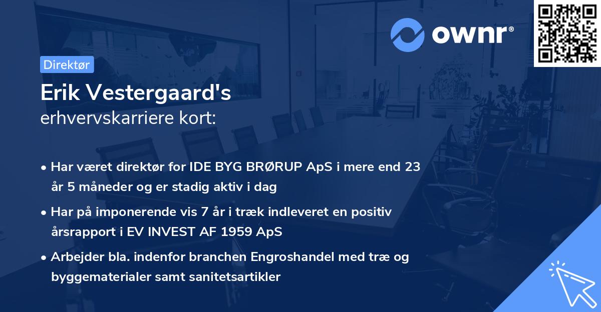 Erik Vestergaard's erhvervskarriere kort