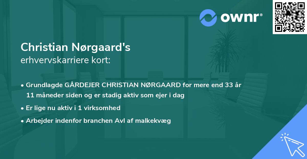 Christian Nørgaard's erhvervskarriere kort