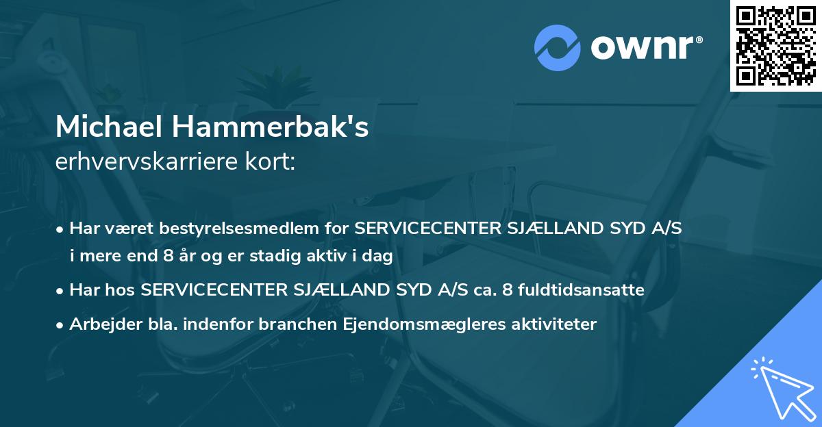 Michael Hammerbak's erhvervskarriere kort