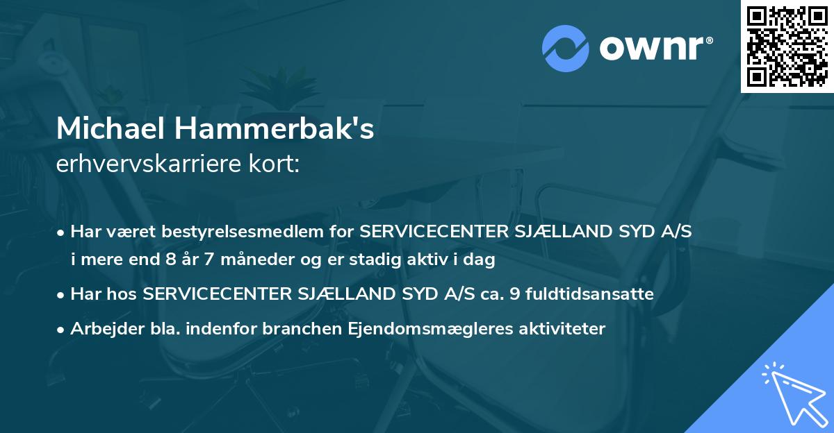 Michael Hammerbak's erhvervskarriere kort