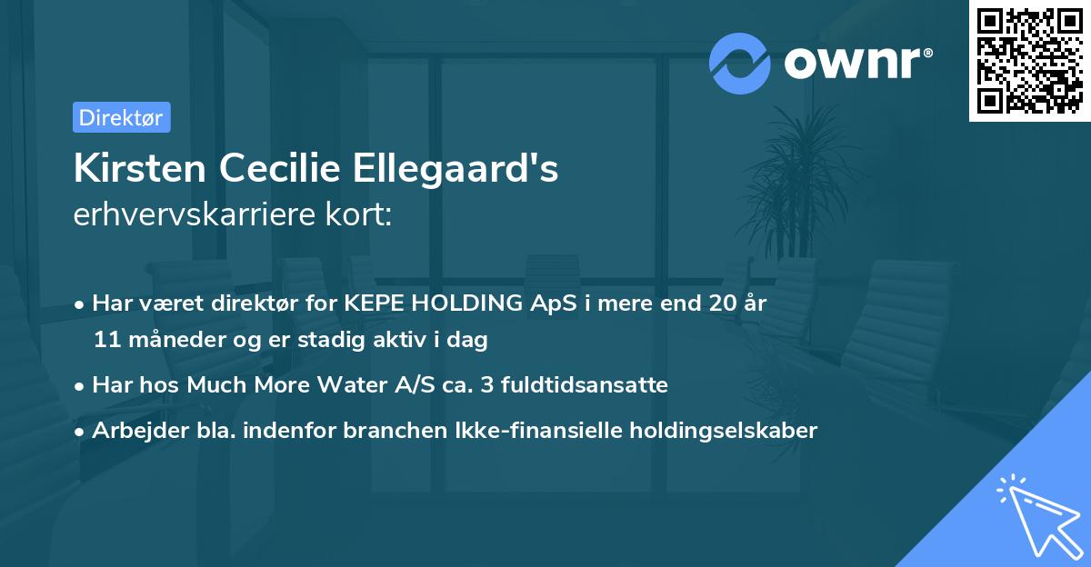 Kirsten Cecilie Ellegaard's erhvervskarriere kort