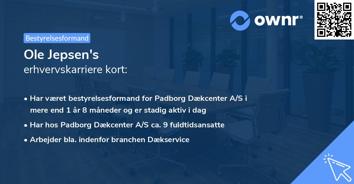 Ole Jepsen's erhvervskarriere kort