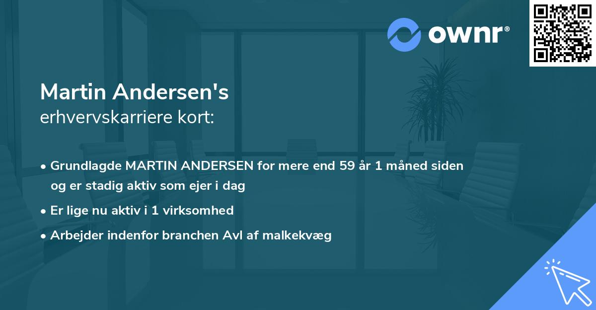 Martin Andersen's erhvervskarriere kort