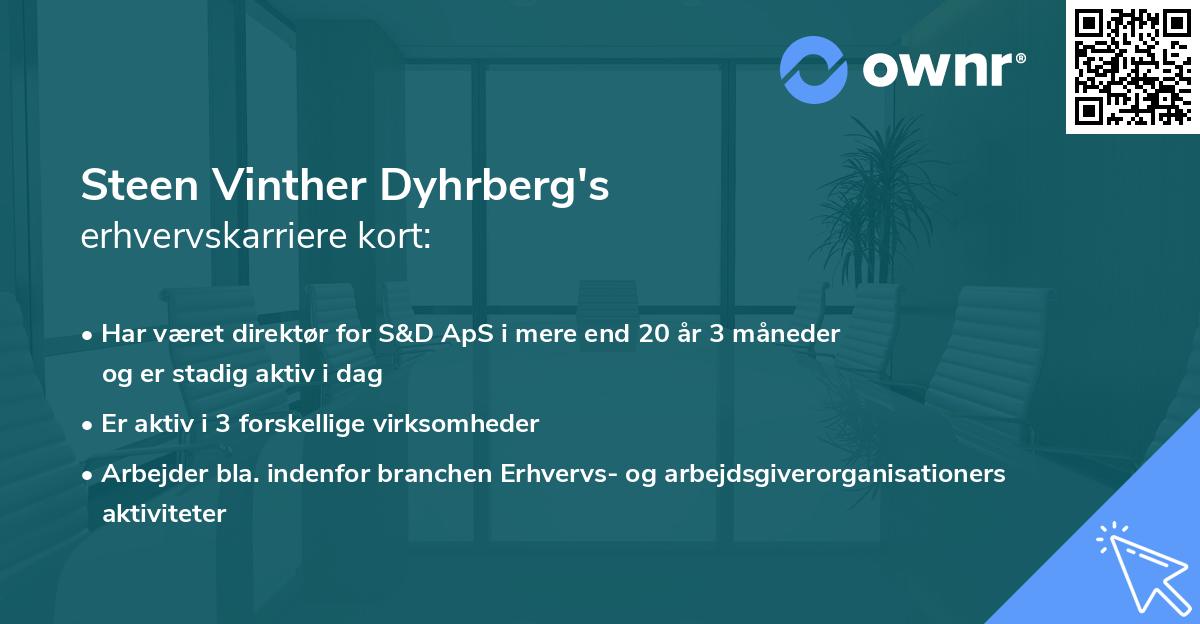 Steen Vinther Dyhrberg's erhvervskarriere kort