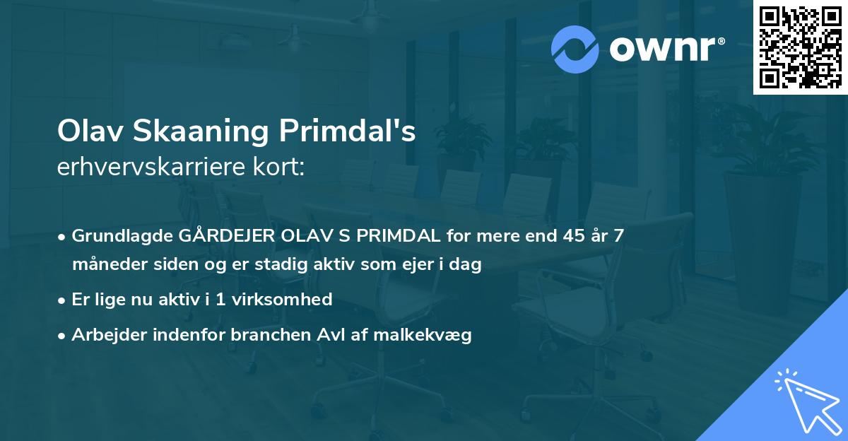 Olav Skaaning Primdal's erhvervskarriere kort