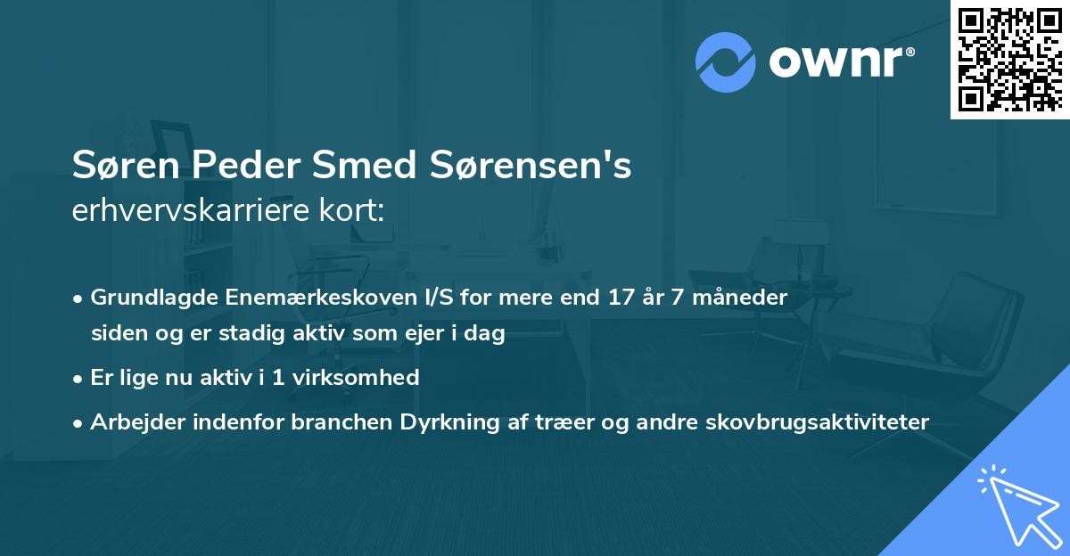 Søren Peder Smed Sørensen's erhvervskarriere kort
