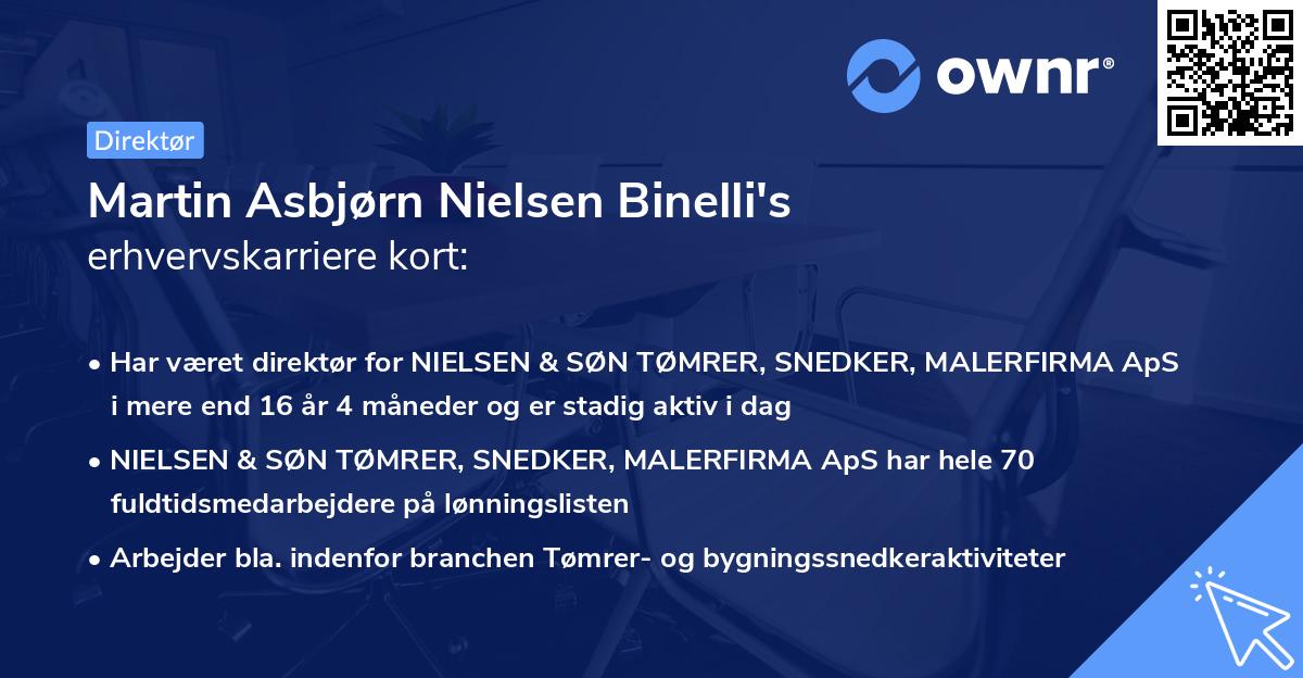Martin Asbjørn Nielsen Binelli's erhvervskarriere kort