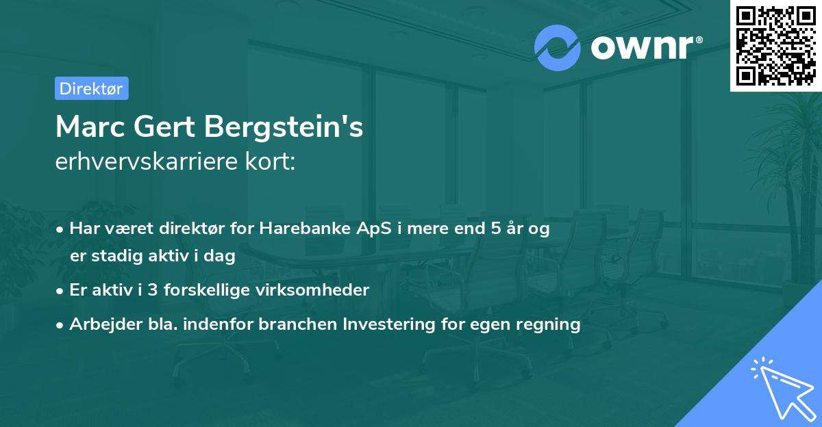 Marc Gert Bergstein's erhvervskarriere kort