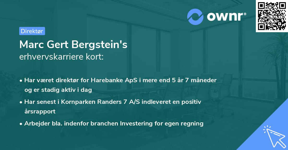 Marc Gert Bergstein's erhvervskarriere kort