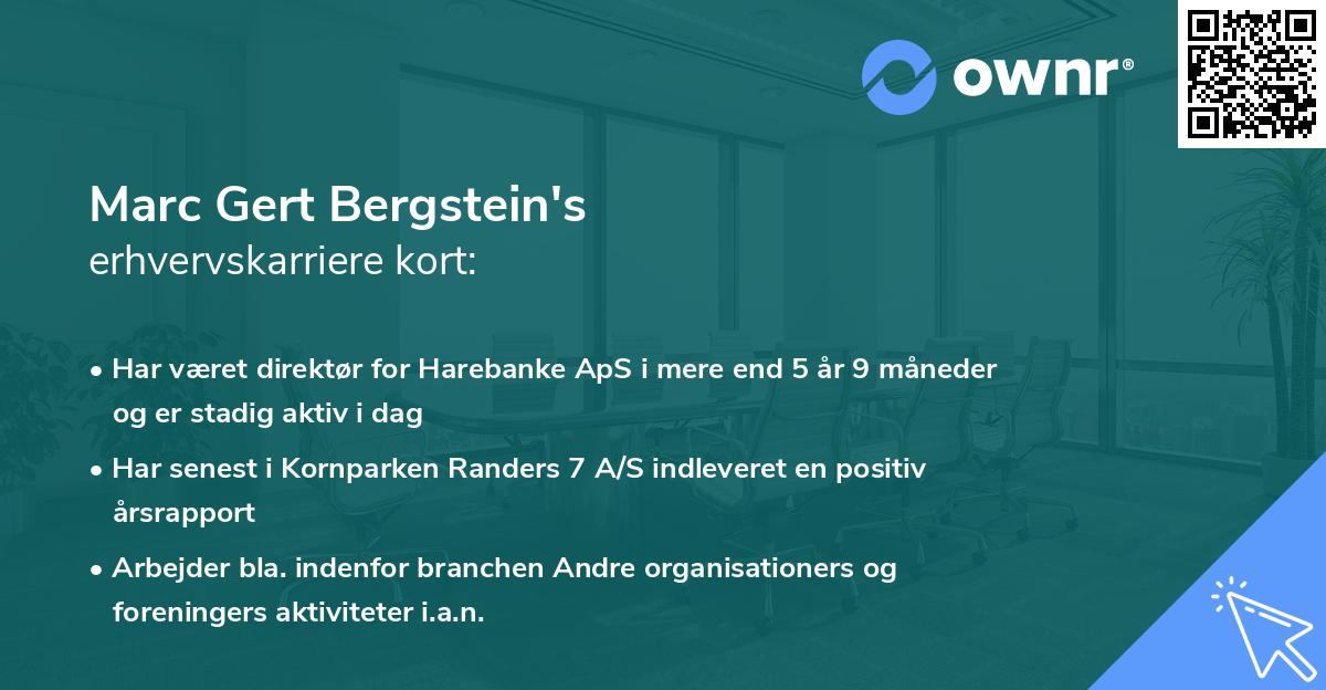 Marc Gert Bergstein's erhvervskarriere kort