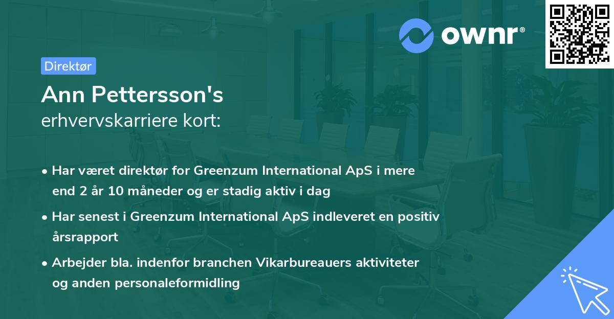 Ann Pettersson's erhvervskarriere kort