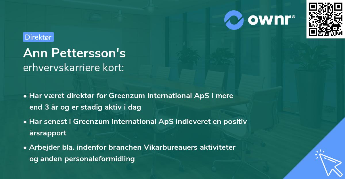 Ann Pettersson's erhvervskarriere kort