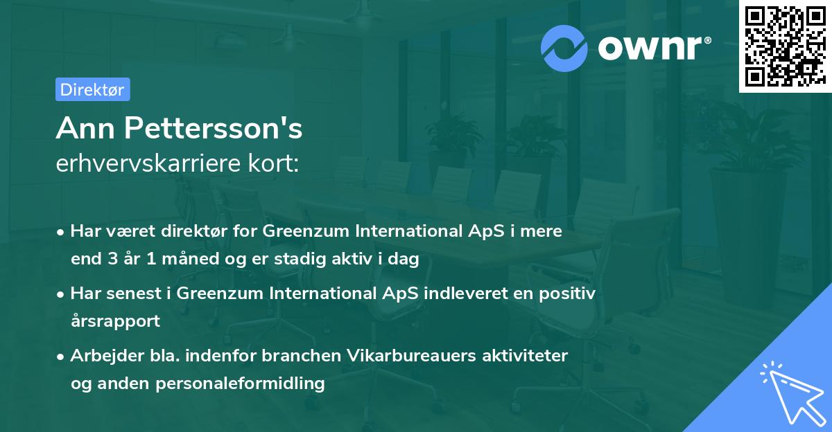 Ann Pettersson's erhvervskarriere kort