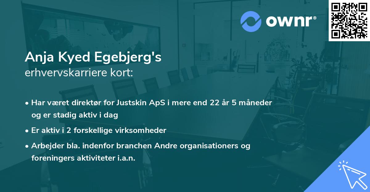 Anja Kyed Egebjerg's erhvervskarriere kort