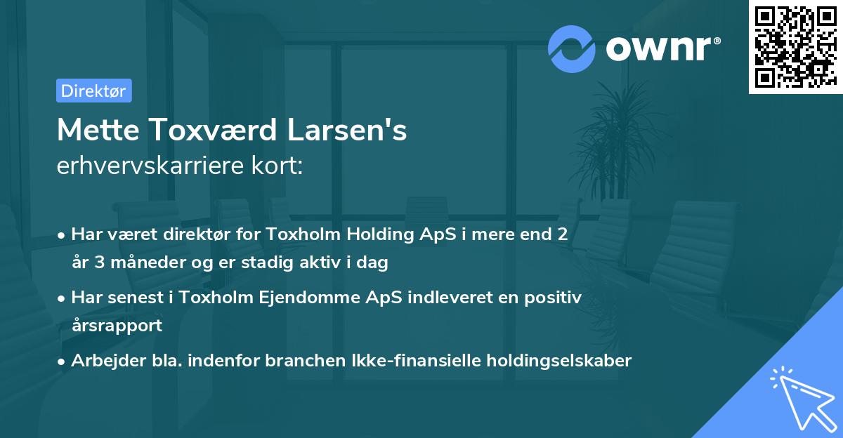 Mette Toxværd Larsen's erhvervskarriere kort
