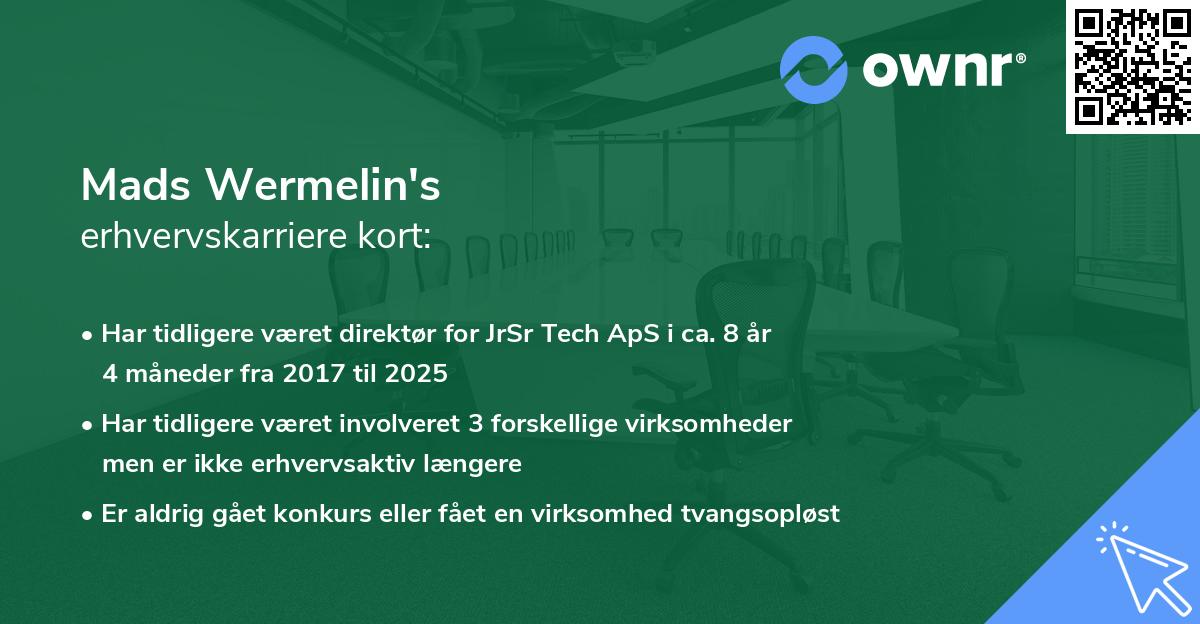 Mads Wermelin's erhvervskarriere kort