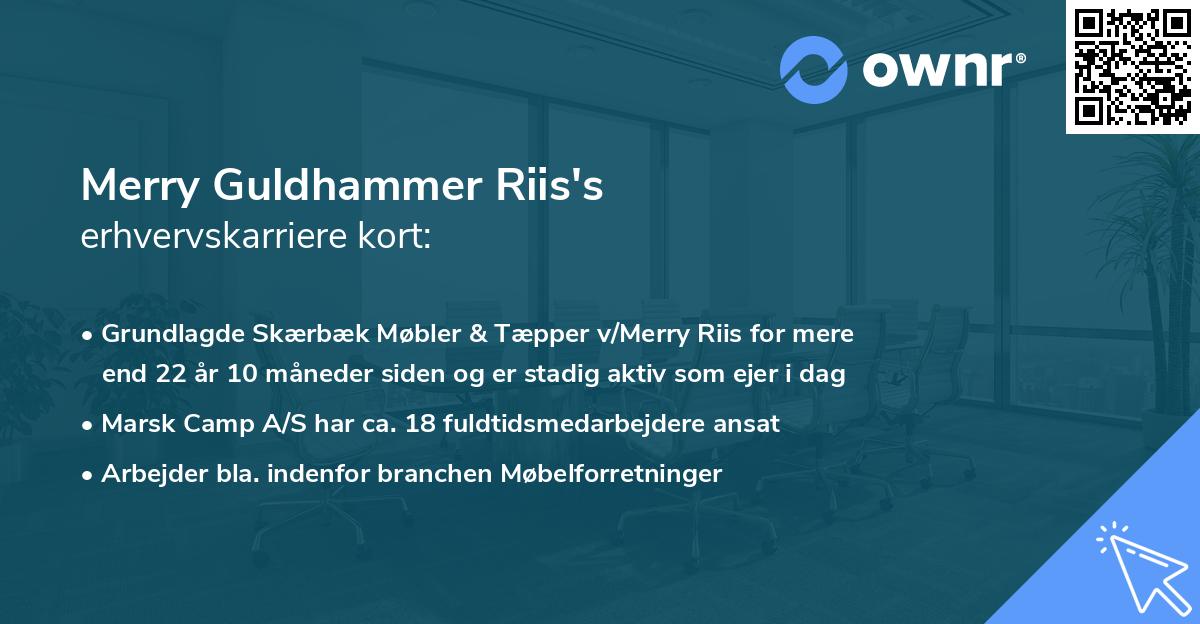 Merry Guldhammer Riis's erhvervskarriere kort