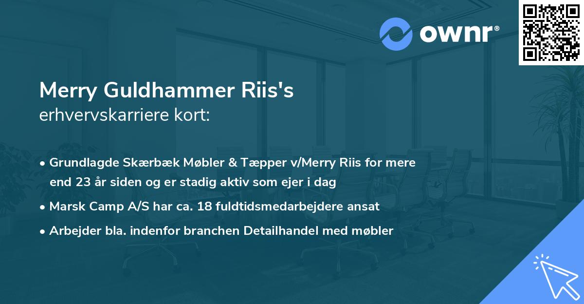 Merry Guldhammer Riis's erhvervskarriere kort