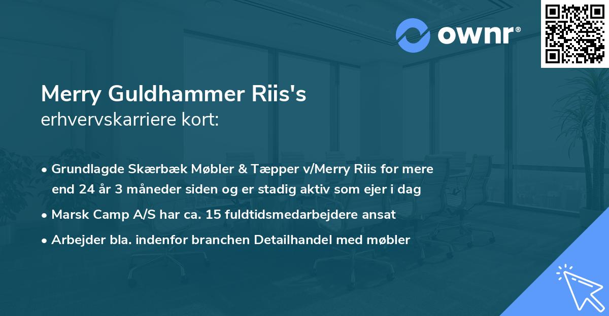 Merry Guldhammer Riis's erhvervskarriere kort
