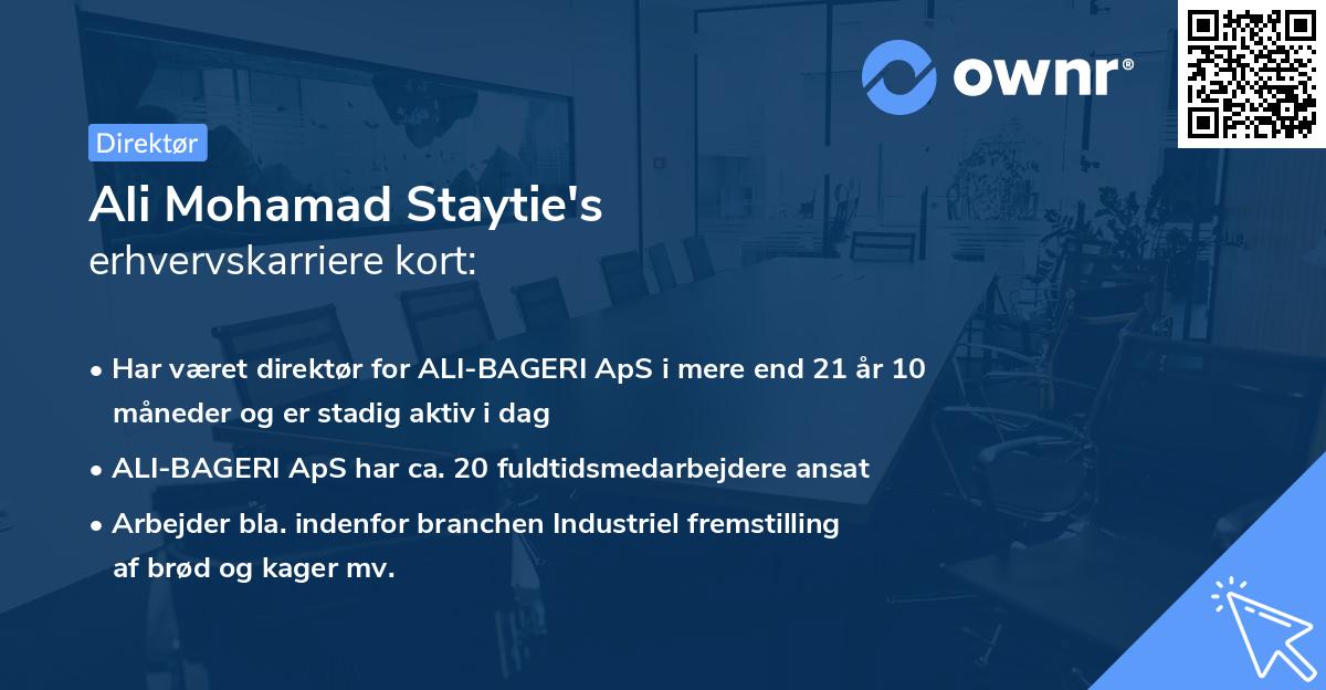 Ali Mohamad Staytie's erhvervskarriere kort