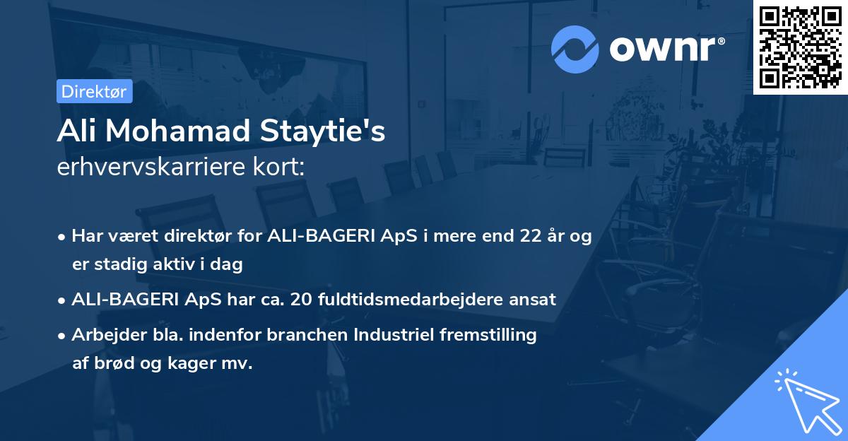 Ali Mohamad Staytie's erhvervskarriere kort