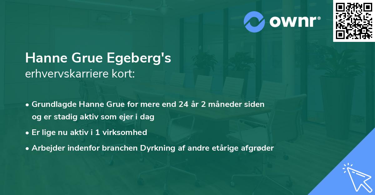 Hanne Grue Egeberg's erhvervskarriere kort