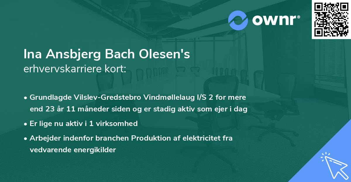 Ina Ansbjerg Bach Olesen's erhvervskarriere kort