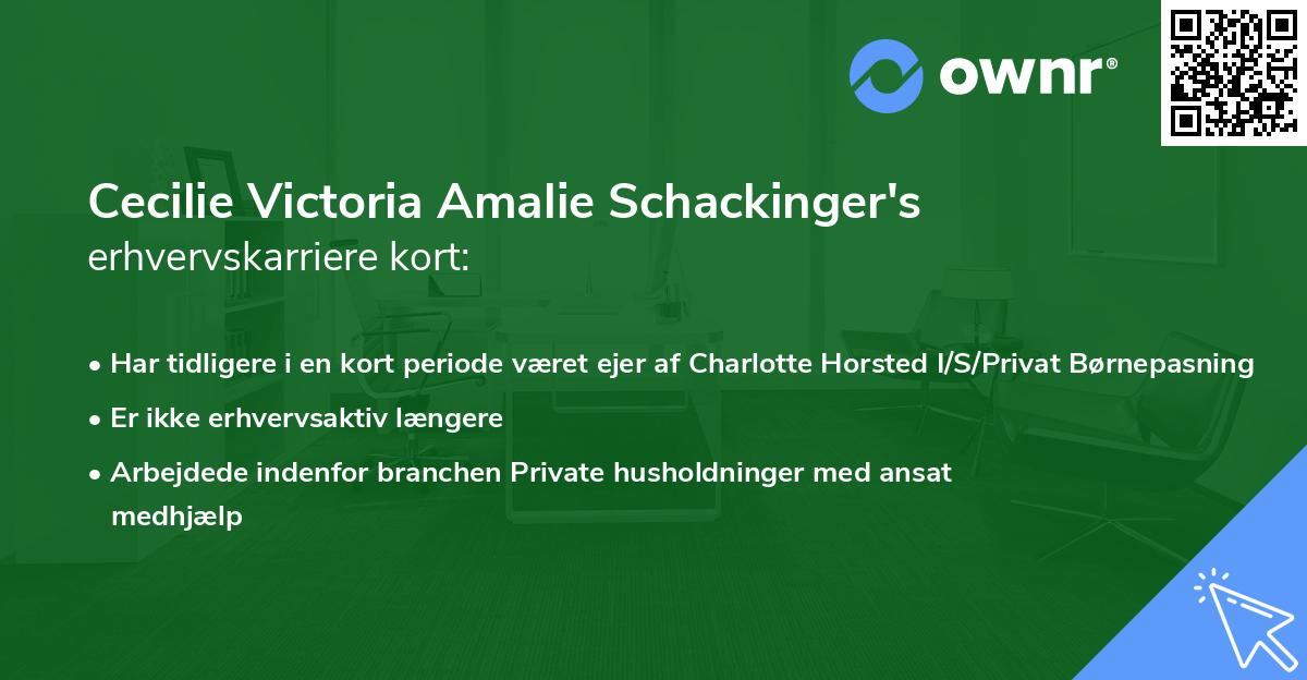 Cecilie Victoria Amalie Schackinger's erhvervskarriere kort