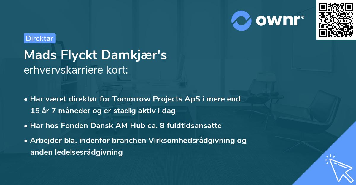 Mads Flyckt Damkjær's erhvervskarriere kort