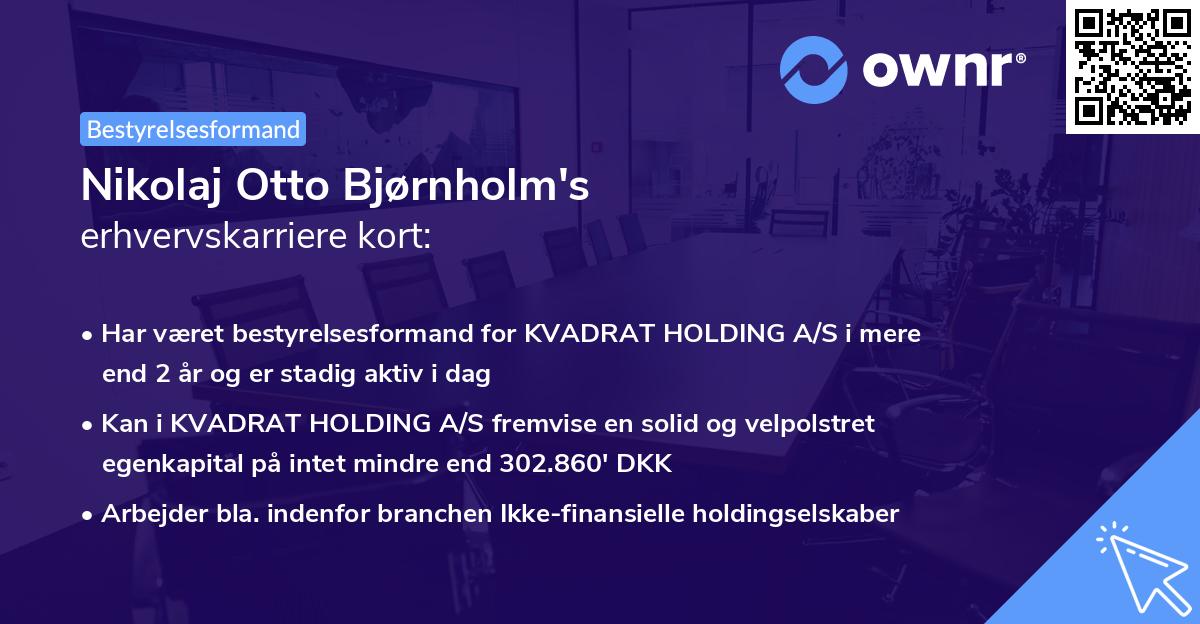 Nikolaj Otto Bjørnholm's erhvervskarriere kort