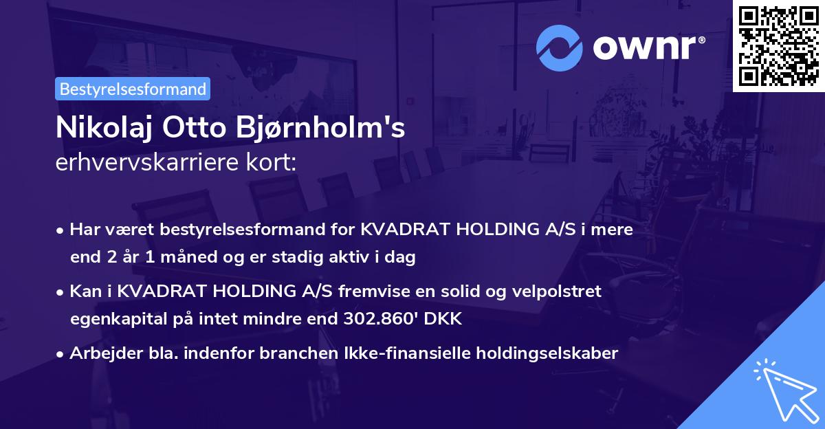 Nikolaj Otto Bjørnholm's erhvervskarriere kort