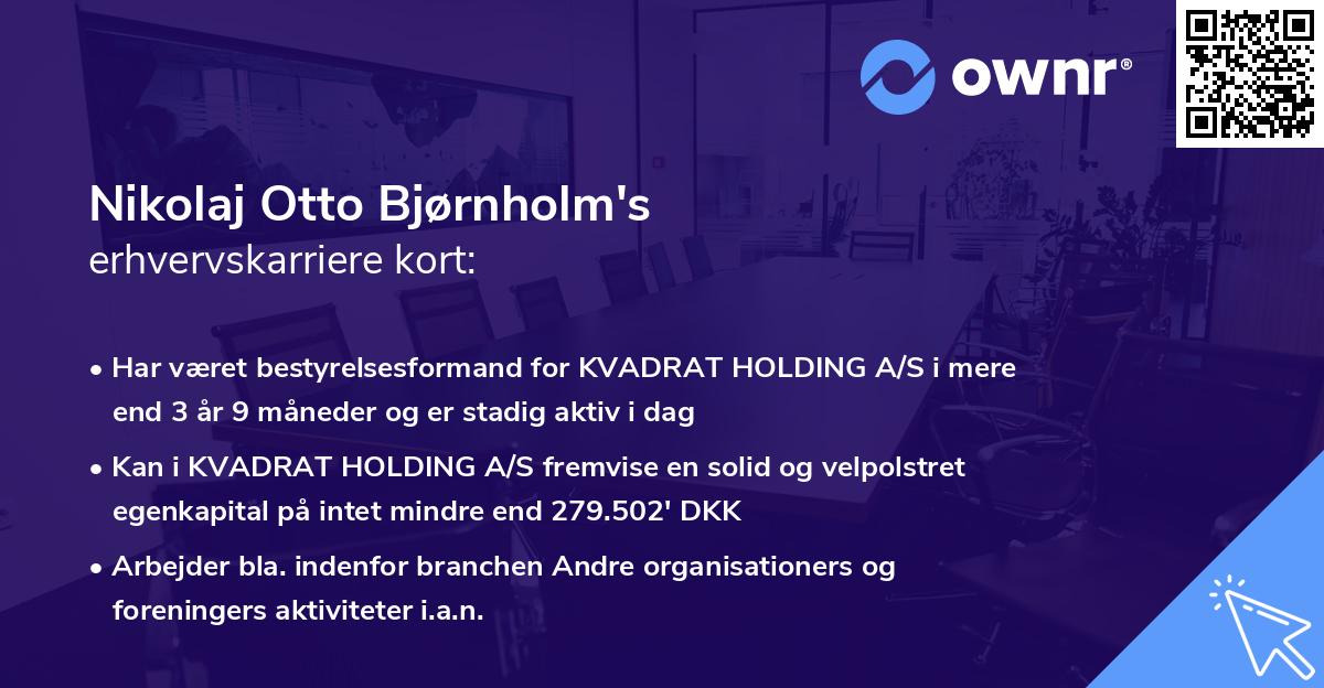 Nikolaj Otto Bjørnholm's erhvervskarriere kort