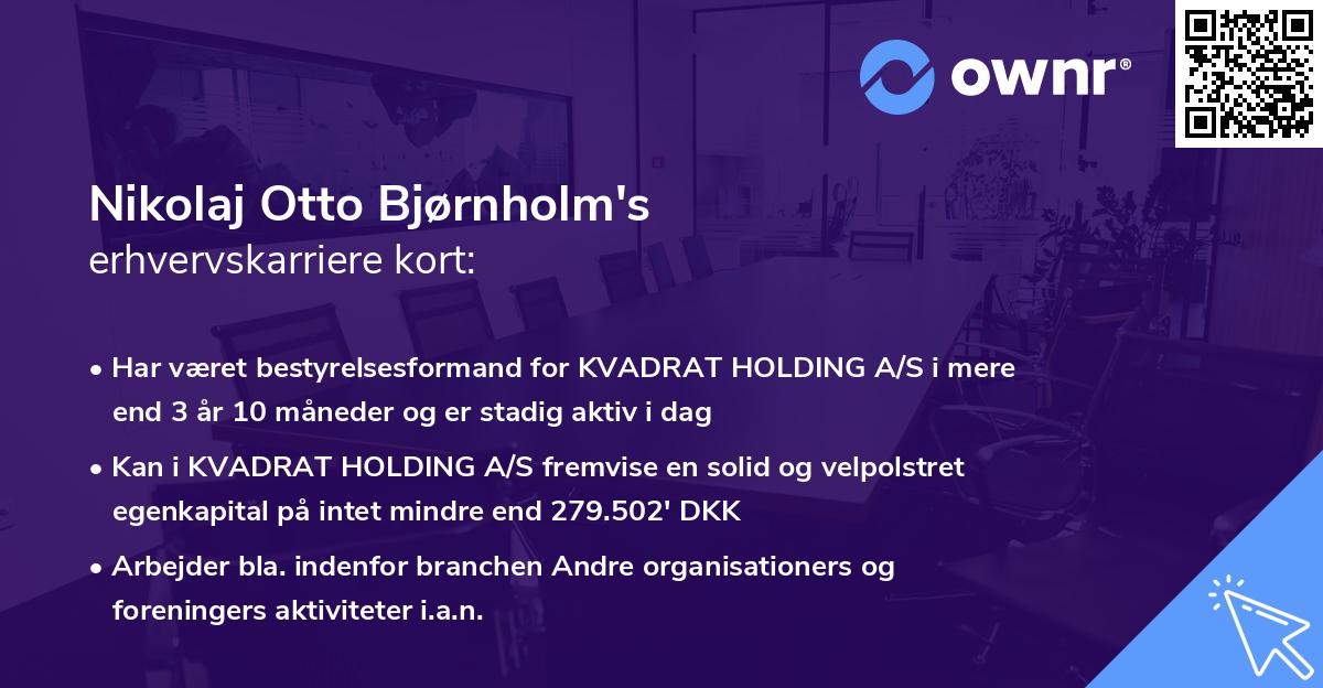 Nikolaj Otto Bjørnholm's erhvervskarriere kort