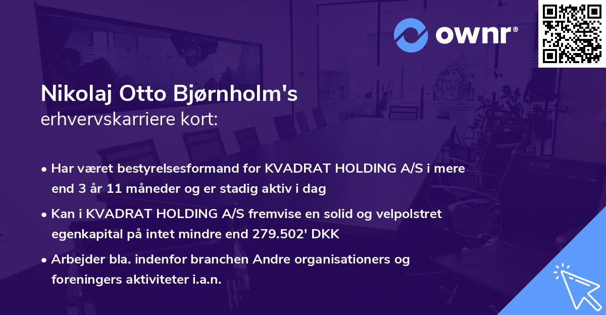Nikolaj Otto Bjørnholm's erhvervskarriere kort