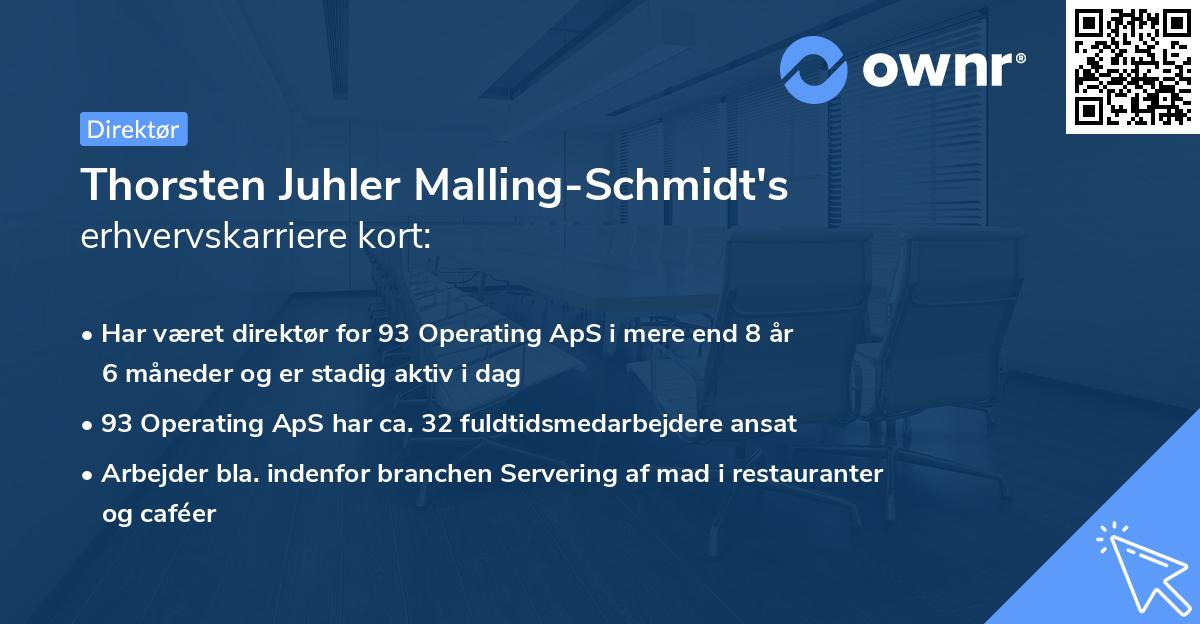Thorsten Juhler Malling-Schmidt's erhvervskarriere kort
