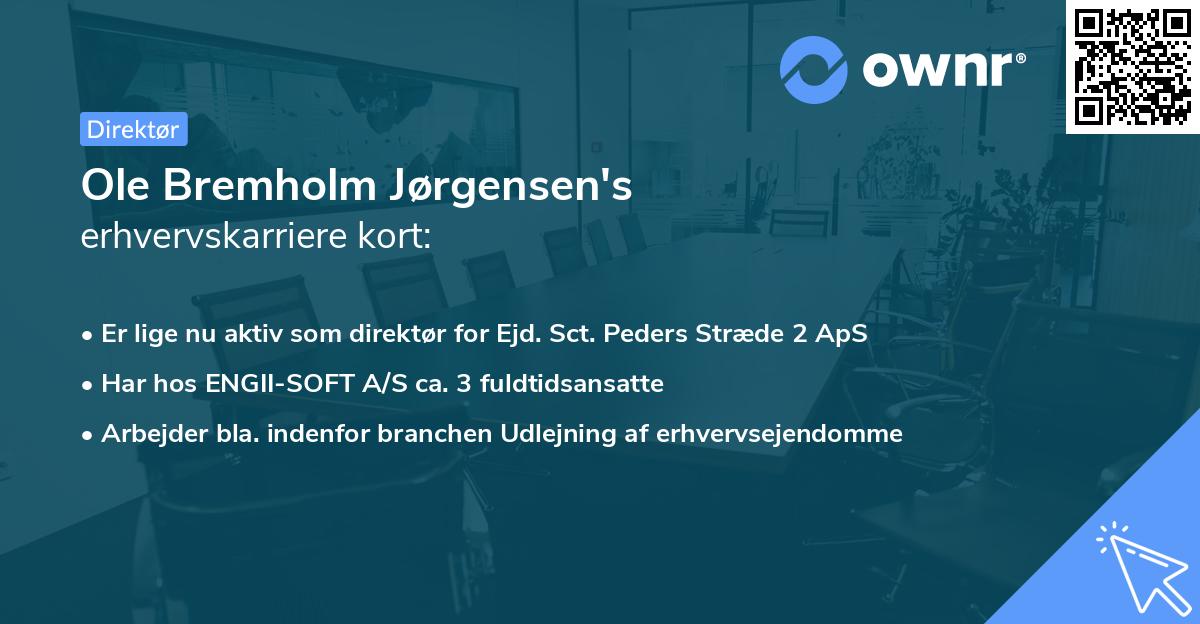 Ole Bremholm Jørgensen's erhvervskarriere kort