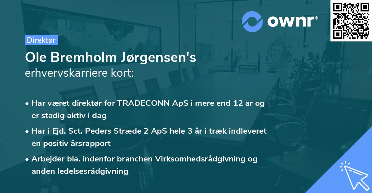 Ole Bremholm Jørgensen's erhvervskarriere kort