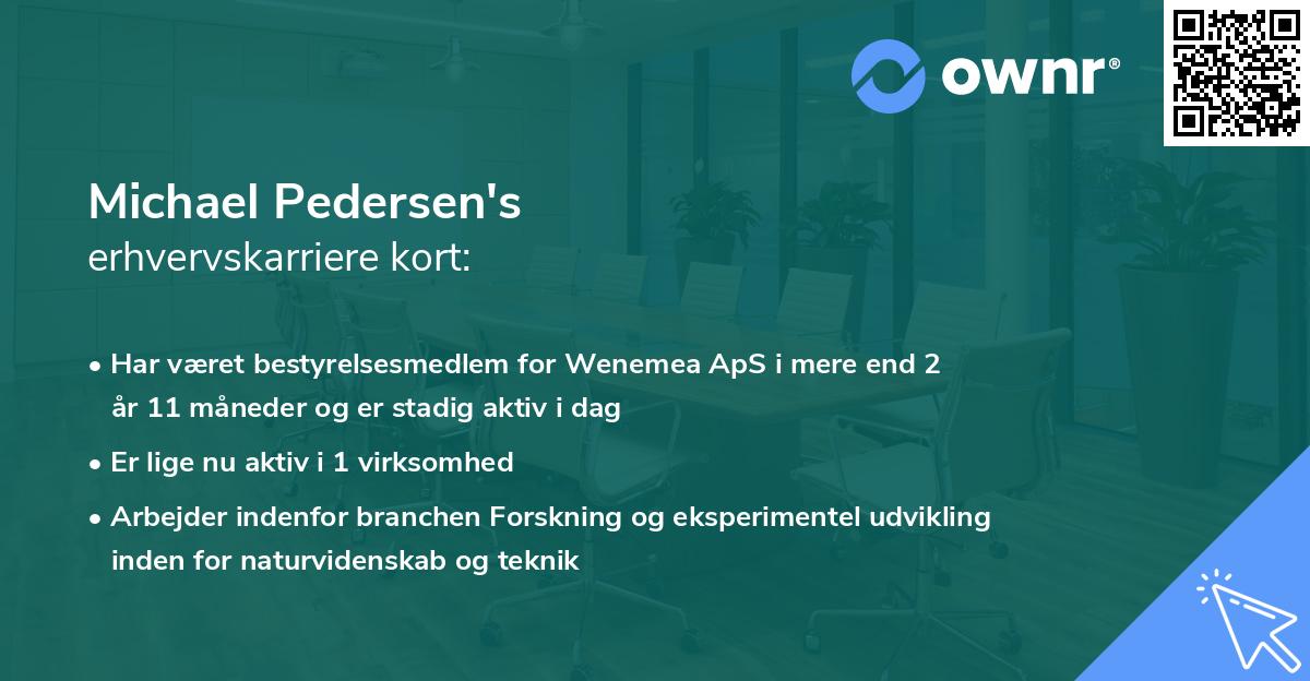 Michael Pedersen's erhvervskarriere kort