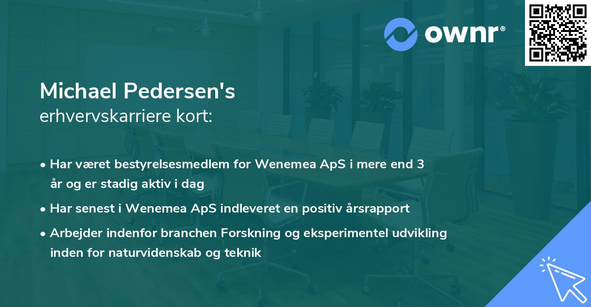 Michael Pedersen's erhvervskarriere kort