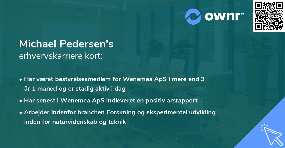 Michael Pedersen's erhvervskarriere kort