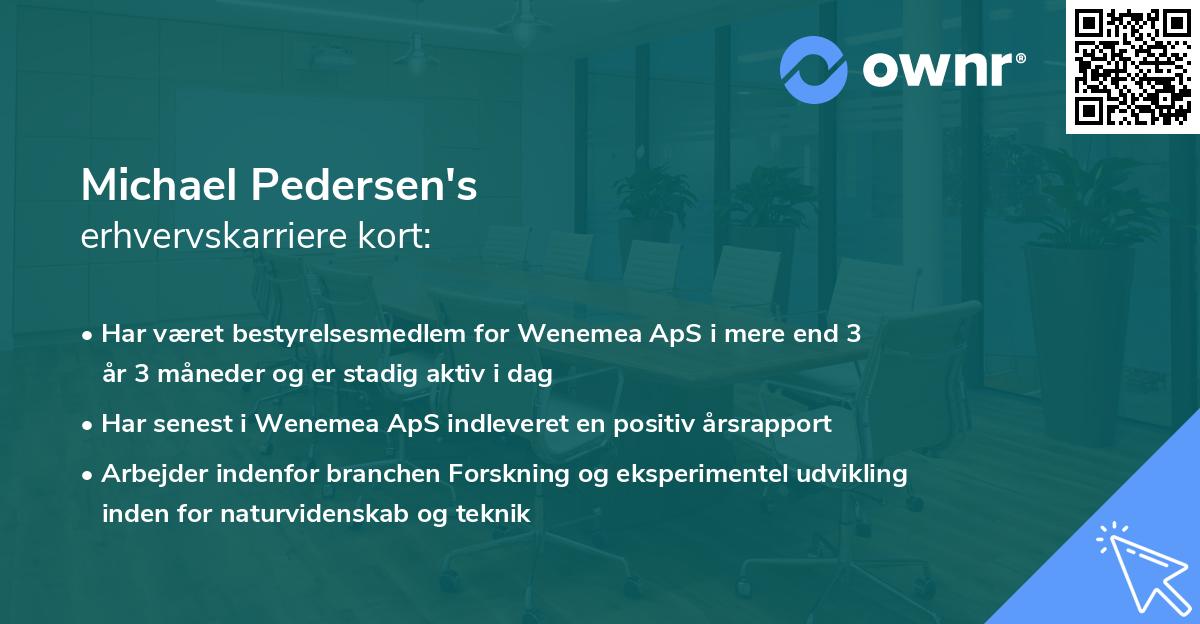 Michael Pedersen's erhvervskarriere kort