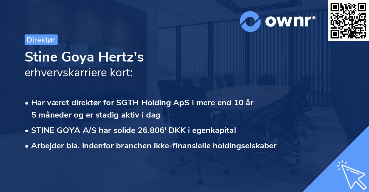Stine Goya Hertz's erhvervskarriere kort