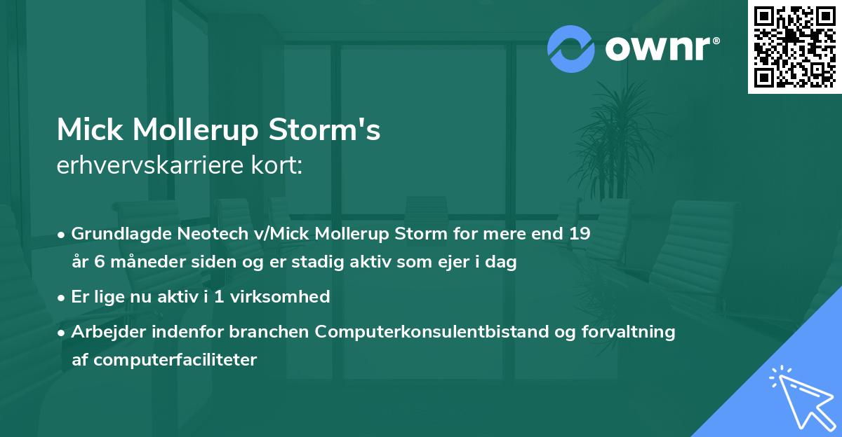 Mick Mollerup Storm's erhvervskarriere kort