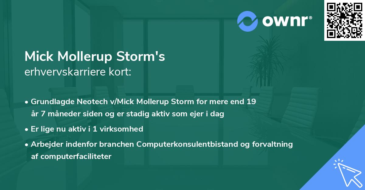 Mick Mollerup Storm's erhvervskarriere kort