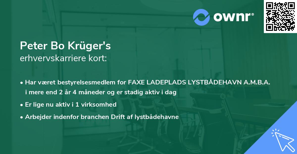 Peter Bo Krüger's erhvervskarriere kort