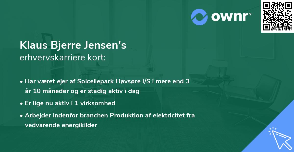 Klaus Bjerre Jensen's erhvervskarriere kort