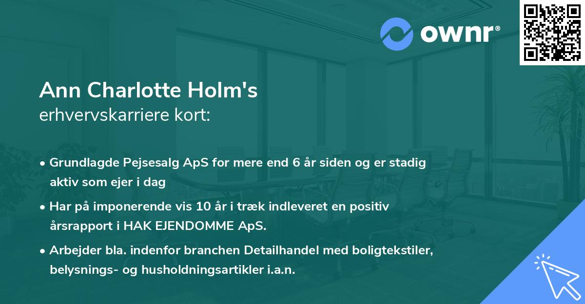 Ann Charlotte Holm's erhvervskarriere kort