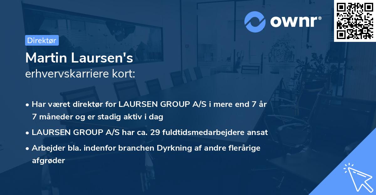 Martin Laursen's erhvervskarriere kort